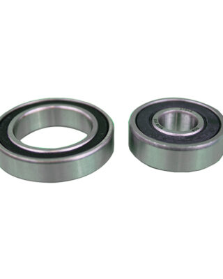 Roller Bearing Set PER ROLLER