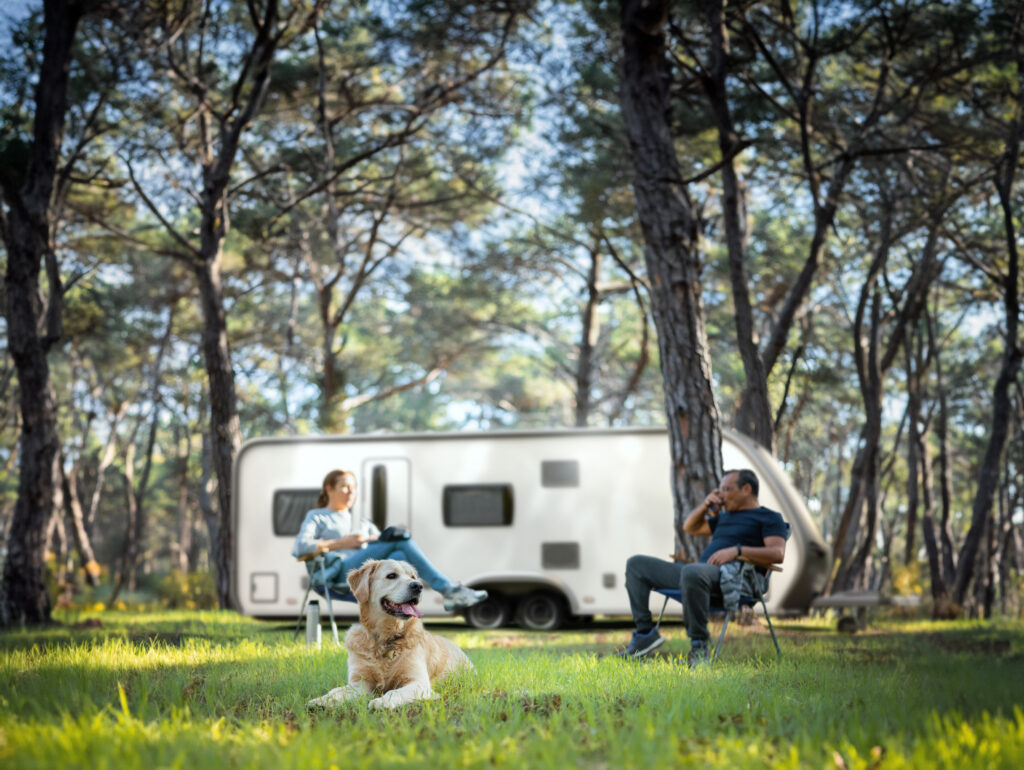 Caravan Mover